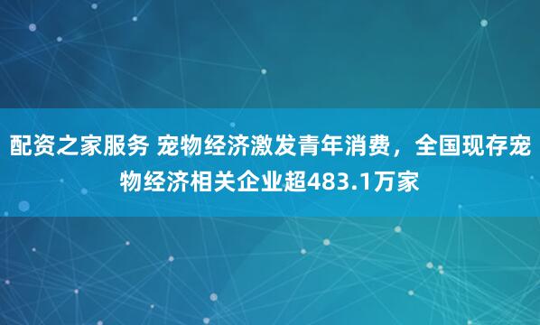 配资之家服务 宠物经济激发青年消费，全国现存宠物经济相关企业超483.1万家