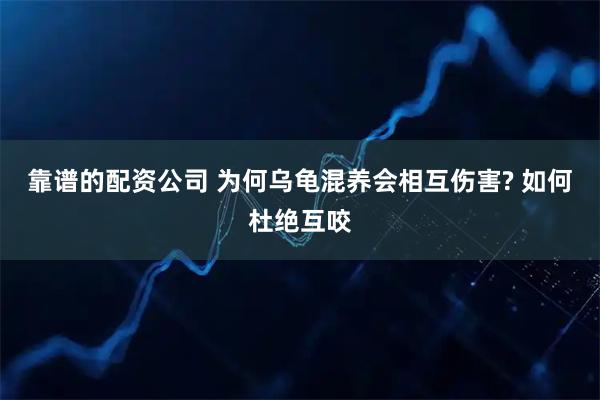 靠谱的配资公司 为何乌龟混养会相互伤害? 如何杜绝互咬